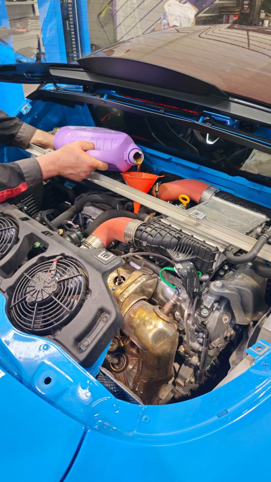 entretient Alpine LYON